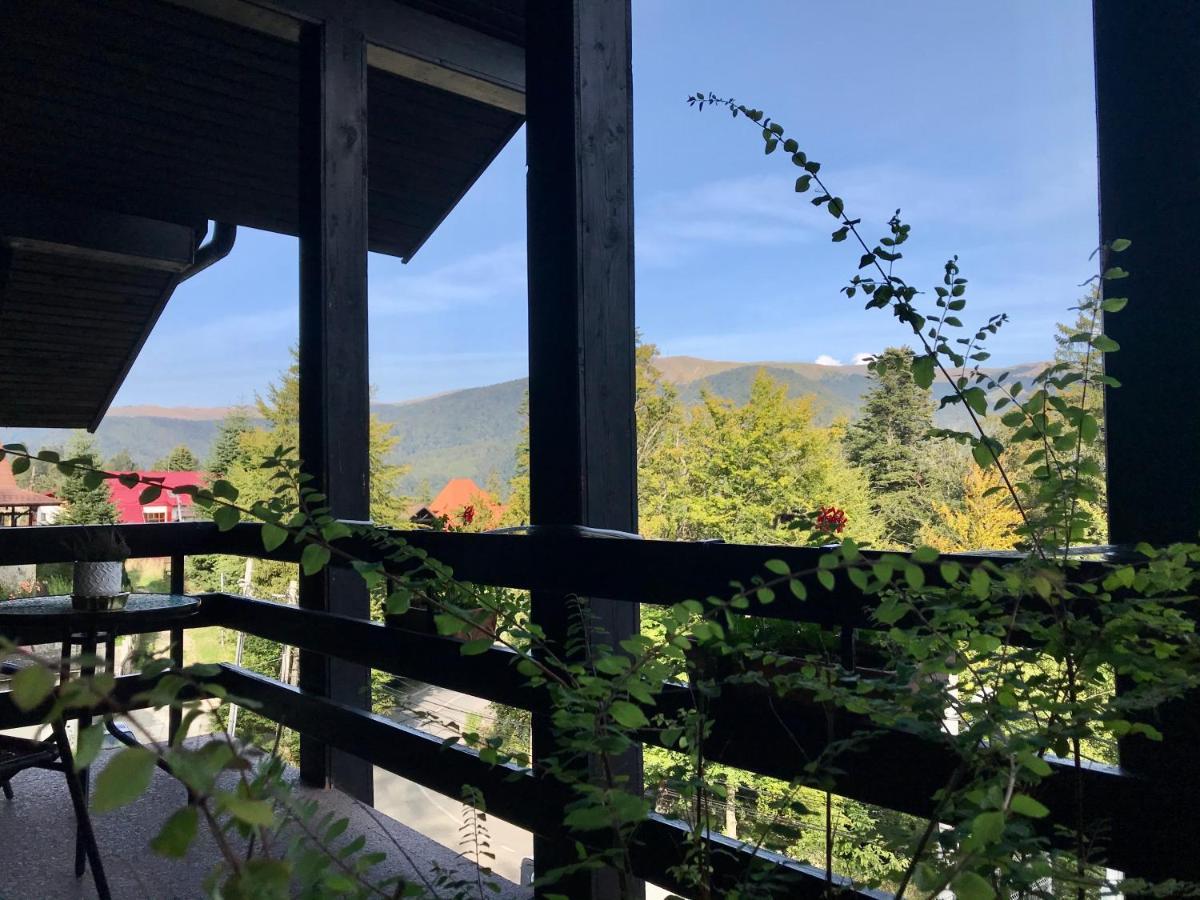 Vila Terase Hotell Sinaia Exteriör bild