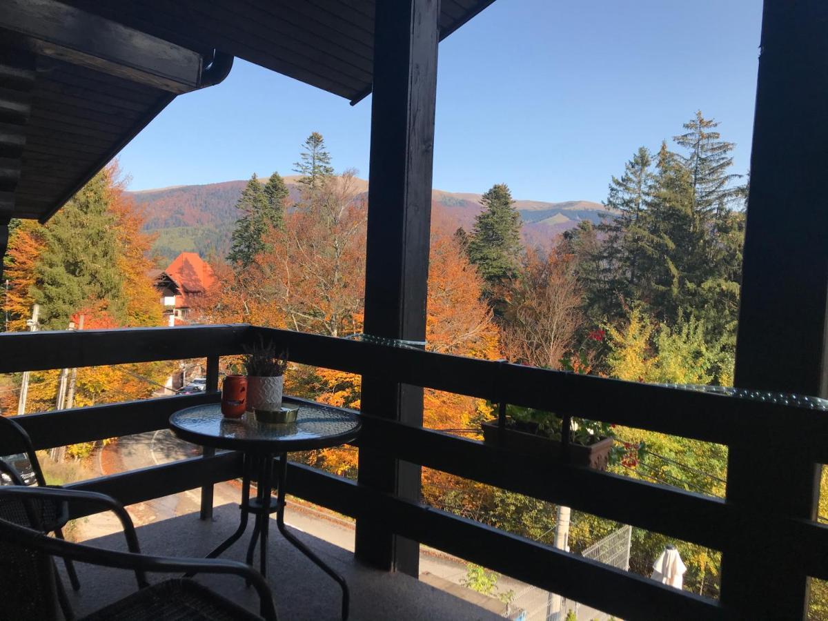 Vila Terase Hotell Sinaia Exteriör bild