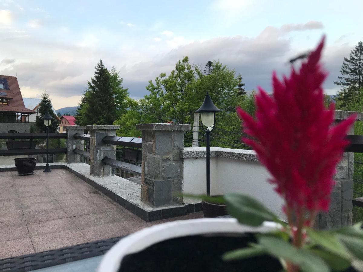 Vila Terase Hotell Sinaia Exteriör bild