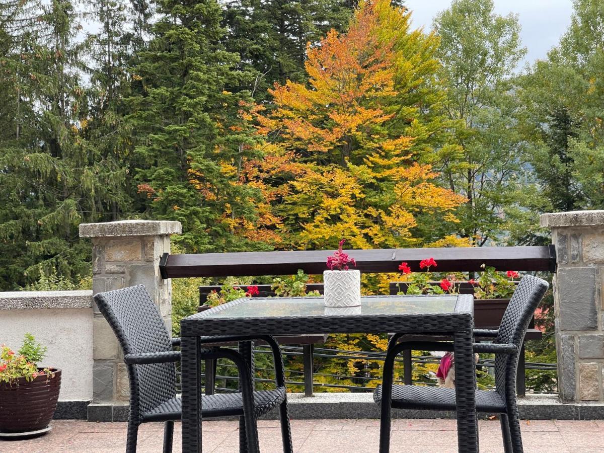 Vila Terase Hotell Sinaia Exteriör bild