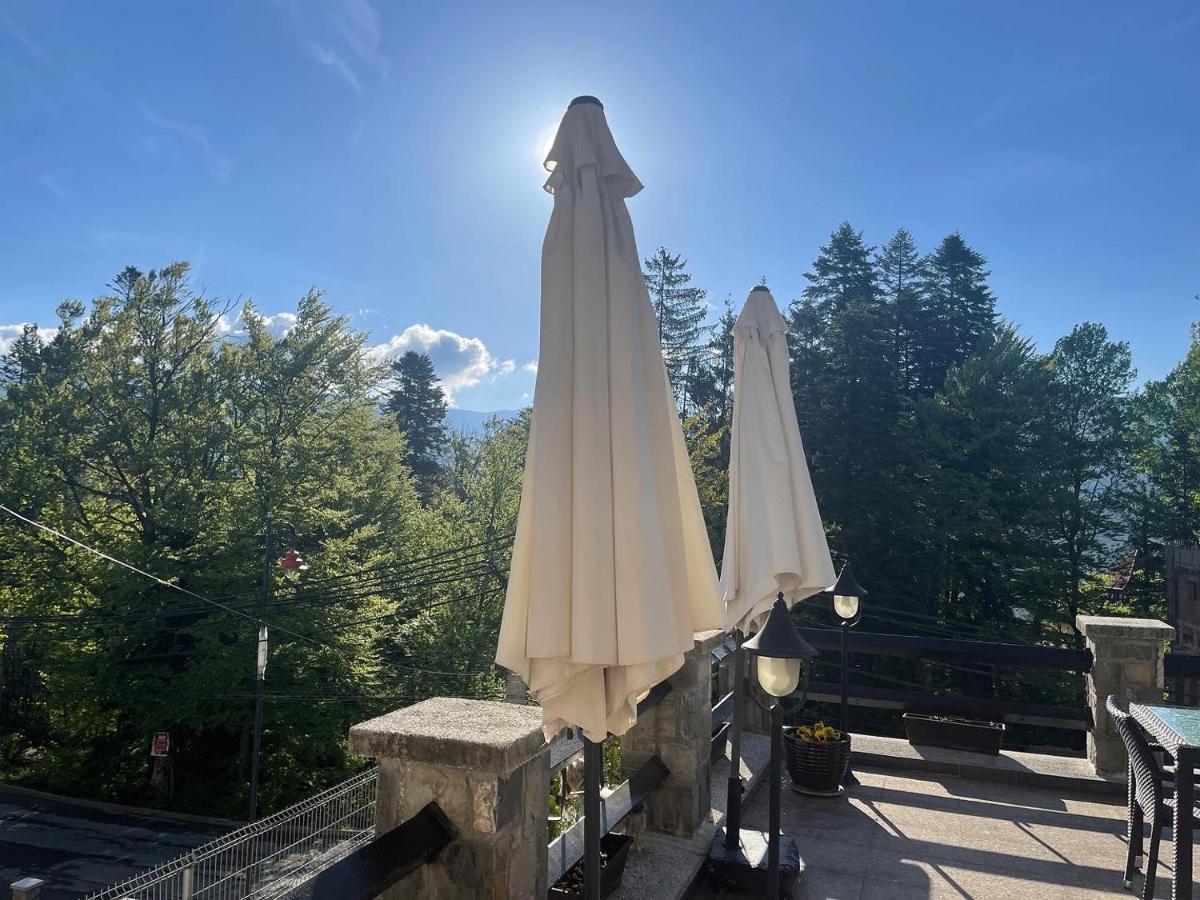 Vila Terase Hotell Sinaia Exteriör bild