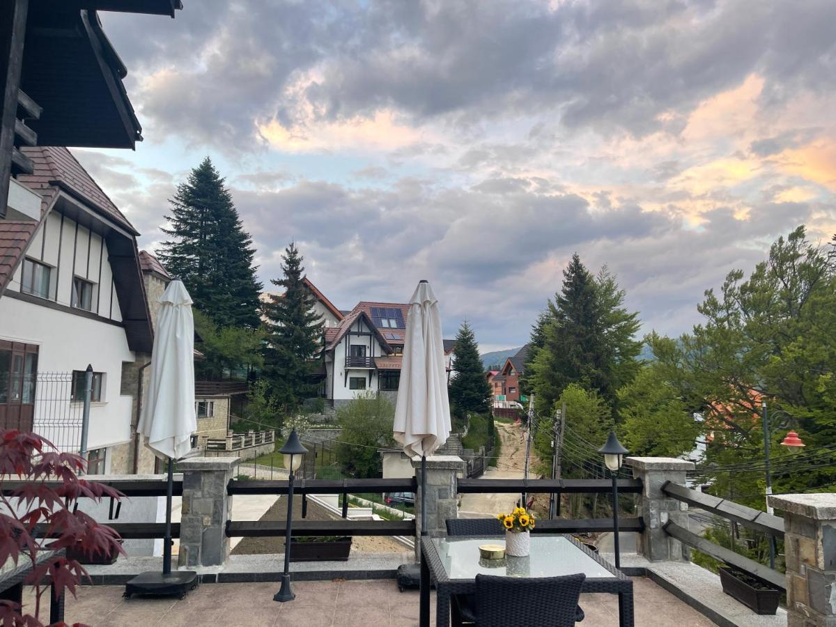 Vila Terase Hotell Sinaia Exteriör bild
