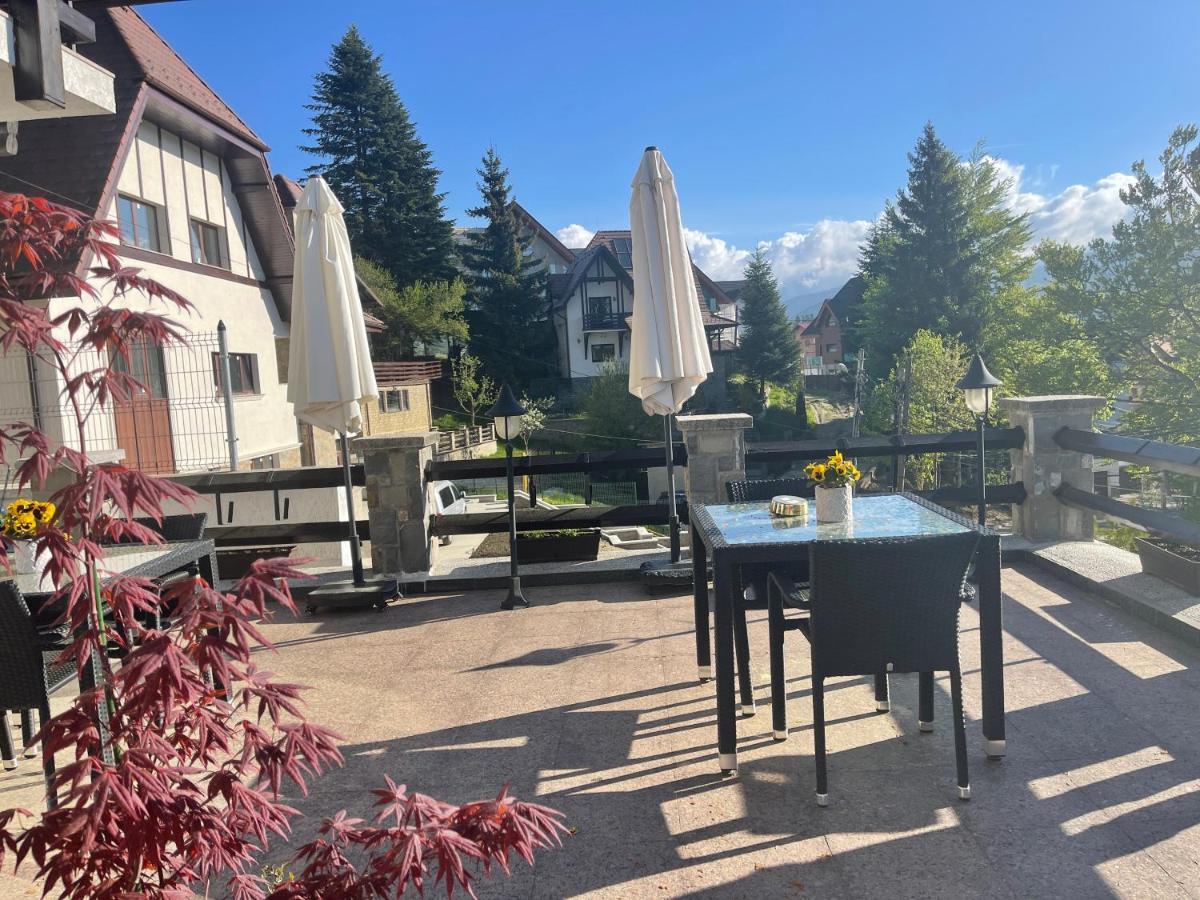 Vila Terase Hotell Sinaia Exteriör bild