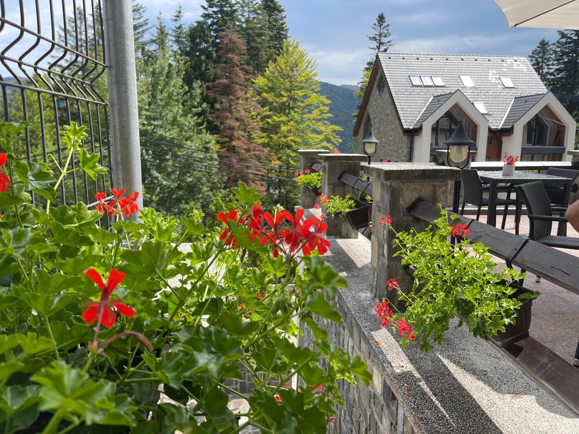 Vila Terase Hotell Sinaia Exteriör bild