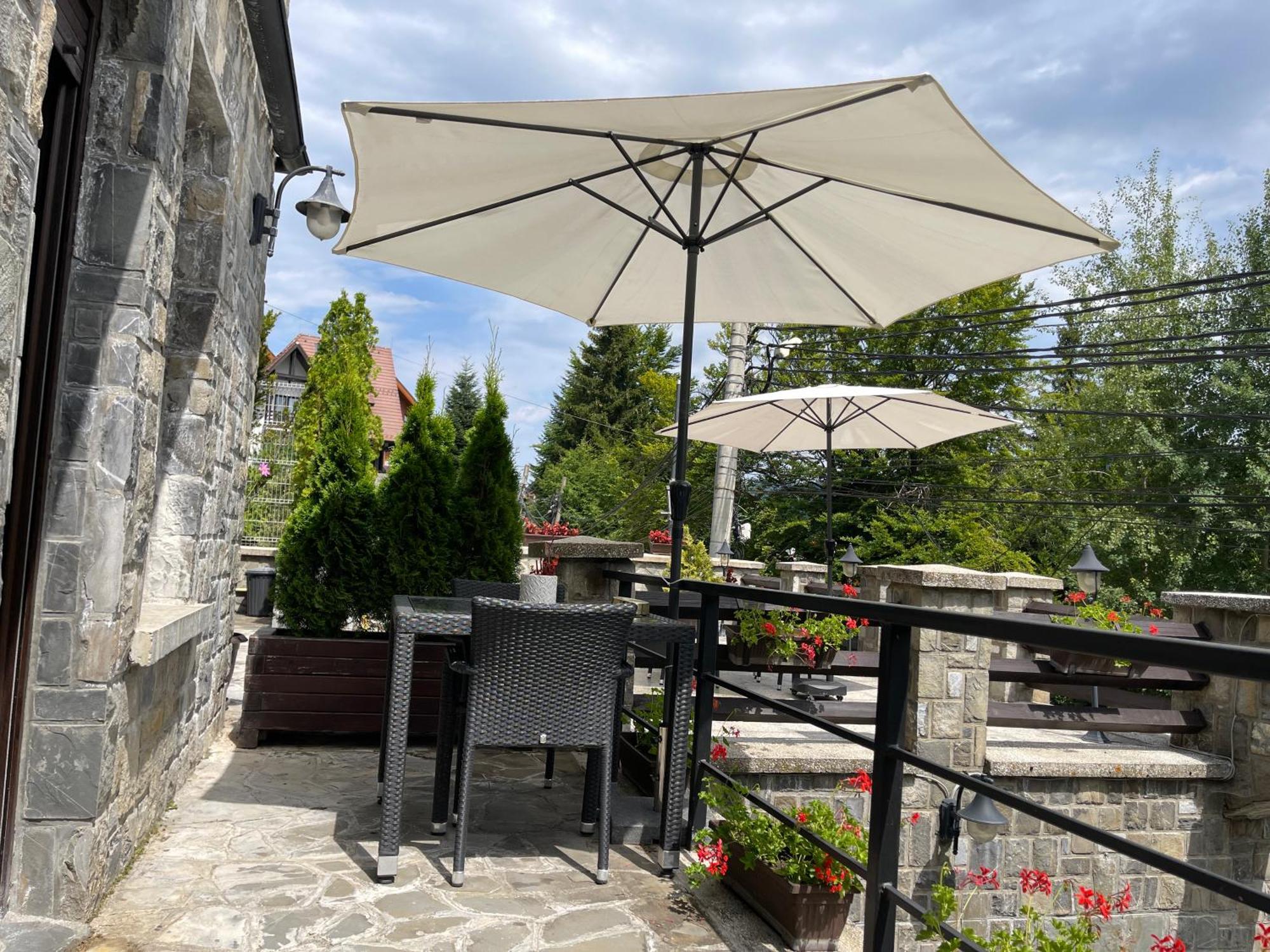 Vila Terase Hotell Sinaia Exteriör bild