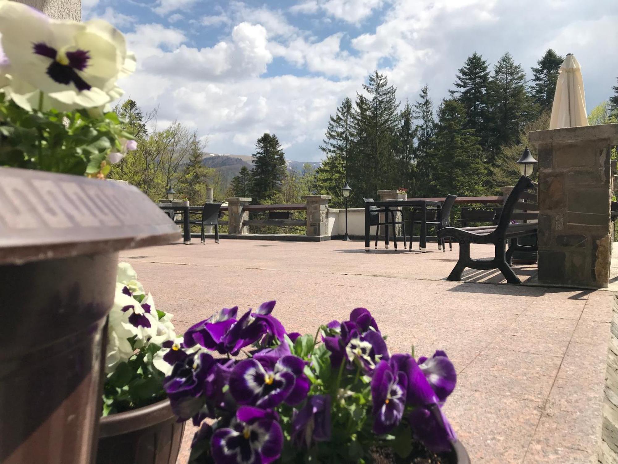 Vila Terase Hotell Sinaia Exteriör bild