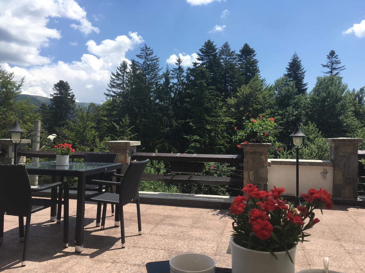 Vila Terase Hotell Sinaia Exteriör bild