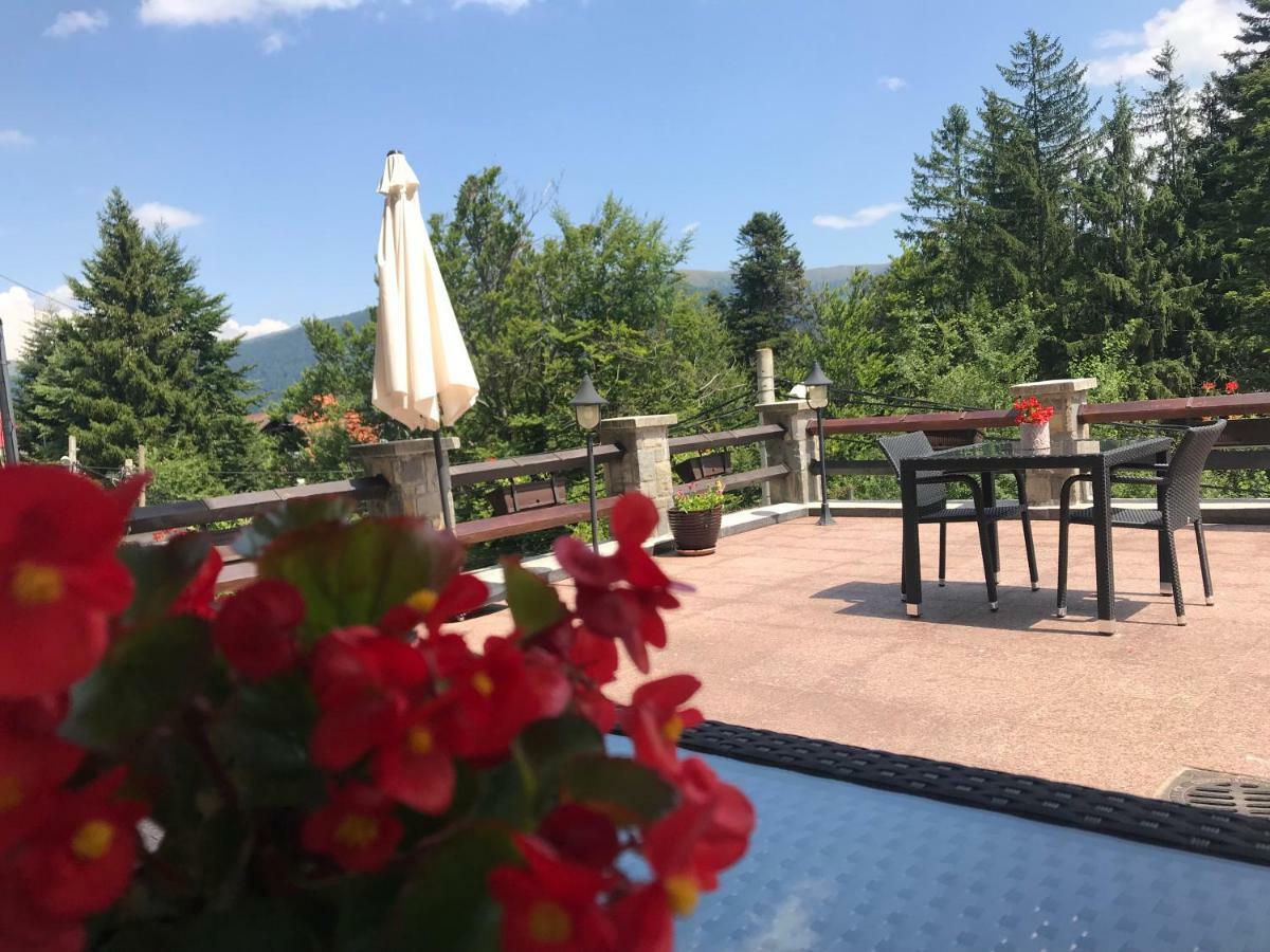 Vila Terase Hotell Sinaia Exteriör bild